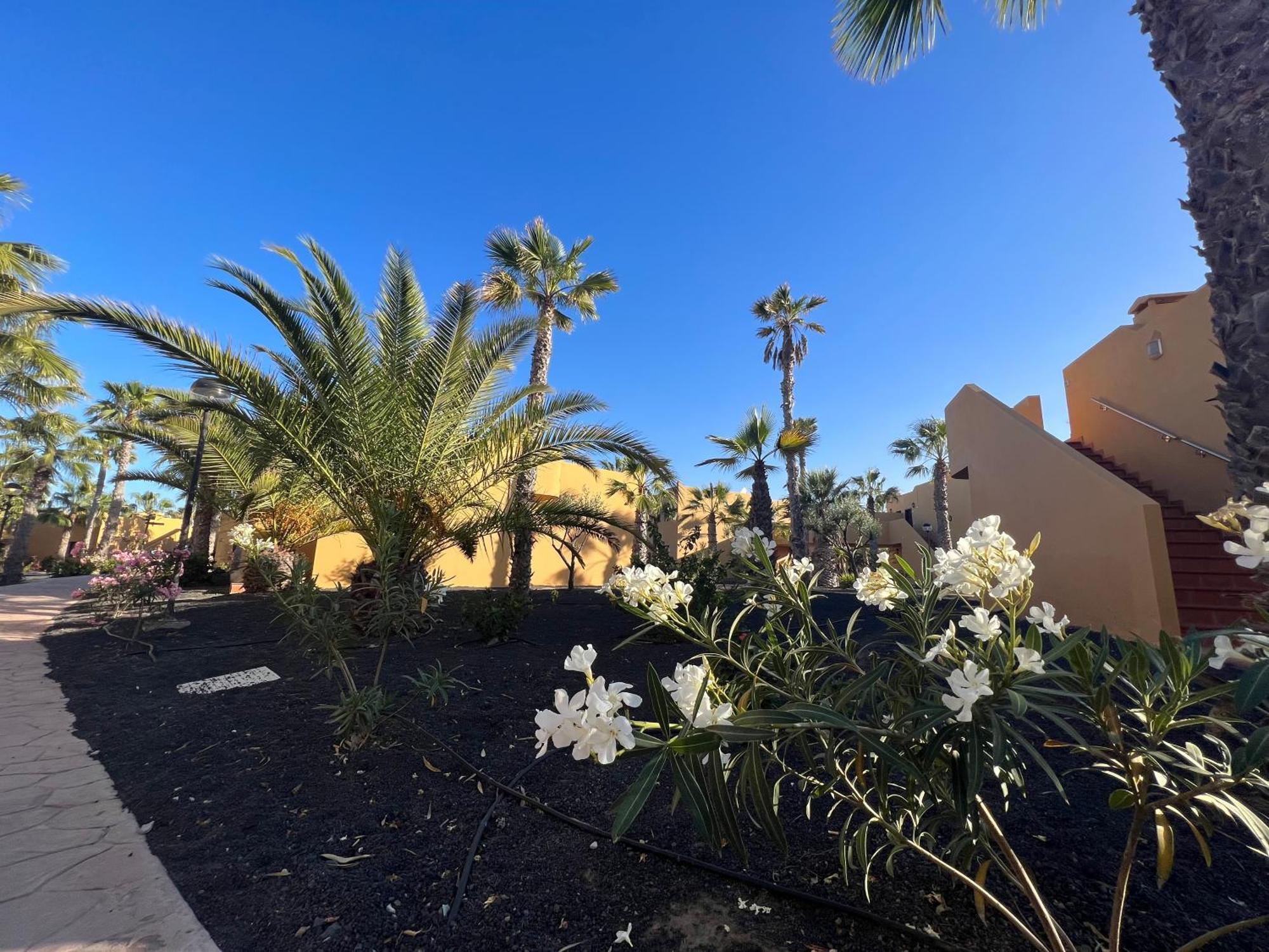 Casa De Leon Apartman Corralejo Kültér fotó
