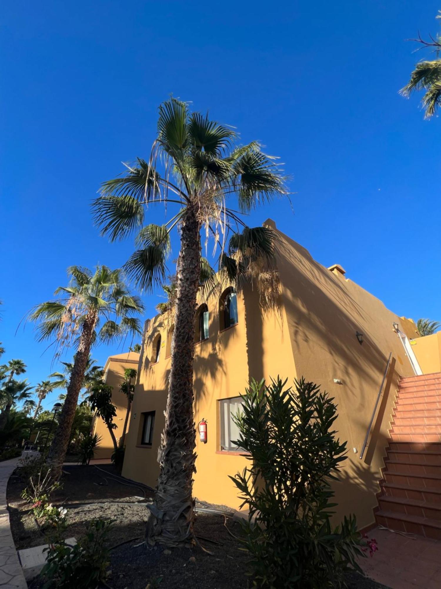 Casa De Leon Apartman Corralejo Kültér fotó